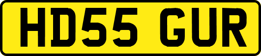 HD55GUR