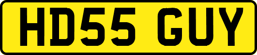 HD55GUY
