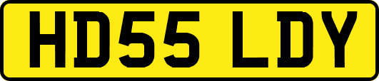 HD55LDY