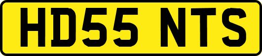 HD55NTS