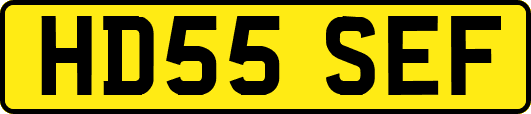 HD55SEF
