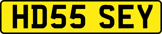 HD55SEY