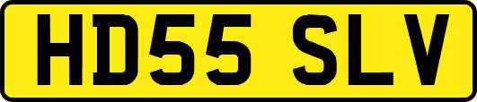 HD55SLV
