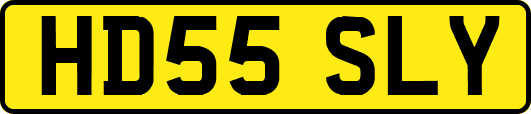 HD55SLY