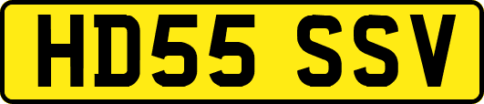 HD55SSV