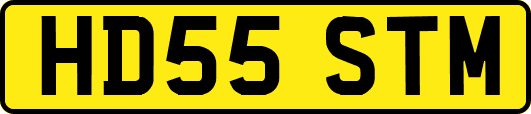 HD55STM
