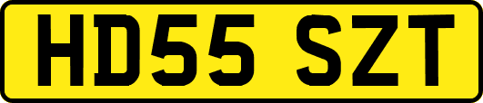 HD55SZT