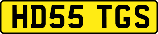 HD55TGS