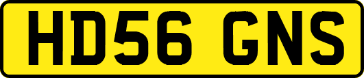 HD56GNS