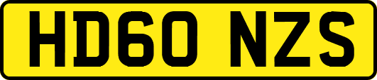 HD60NZS