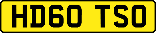 HD60TSO