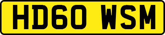 HD60WSM