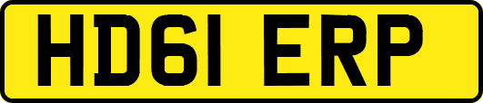 HD61ERP