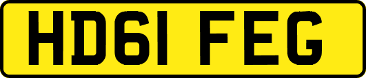 HD61FEG