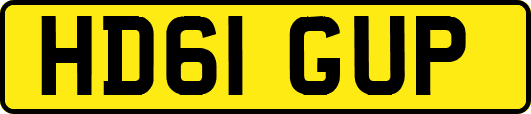 HD61GUP