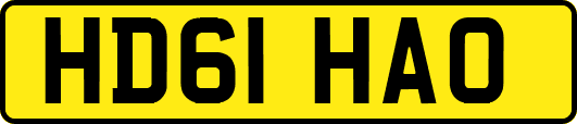 HD61HAO