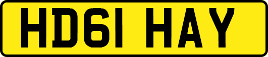 HD61HAY