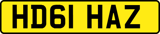 HD61HAZ