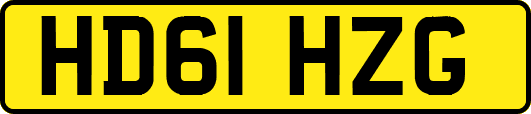 HD61HZG