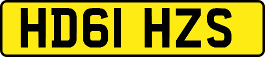 HD61HZS