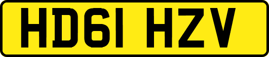 HD61HZV