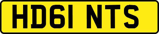 HD61NTS