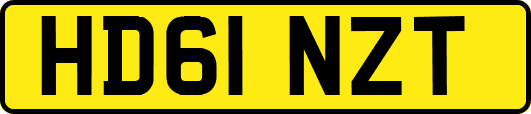 HD61NZT