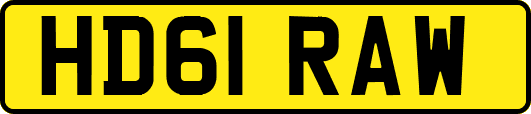 HD61RAW