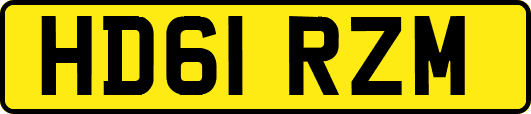 HD61RZM