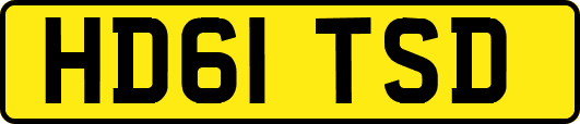 HD61TSD