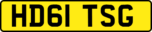 HD61TSG