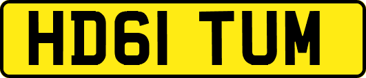 HD61TUM