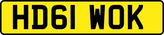 HD61WOK