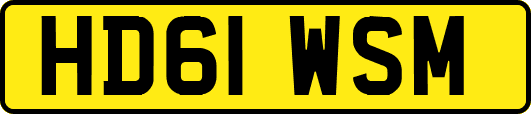 HD61WSM
