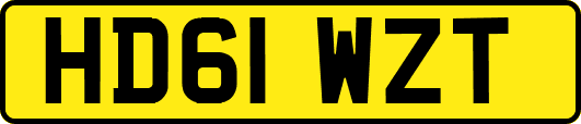 HD61WZT