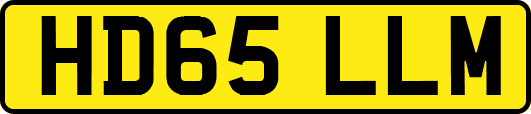 HD65LLM