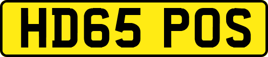HD65POS