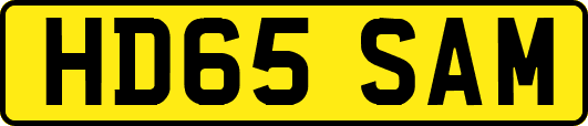 HD65SAM
