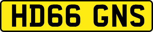 HD66GNS