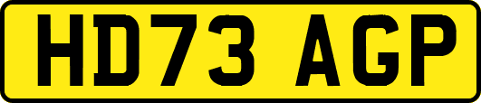 HD73AGP