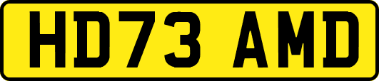 HD73AMD