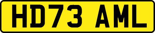 HD73AML