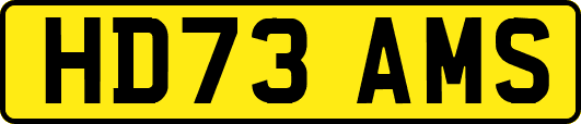 HD73AMS