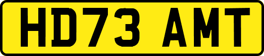 HD73AMT