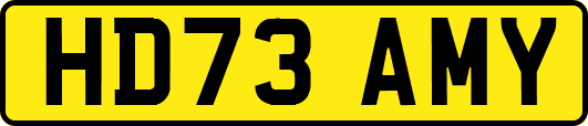 HD73AMY
