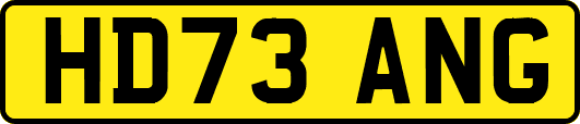 HD73ANG
