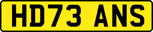 HD73ANS