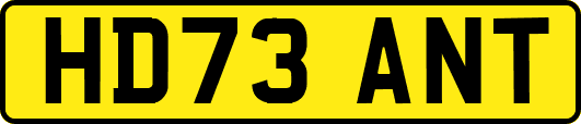 HD73ANT