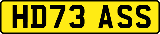HD73ASS