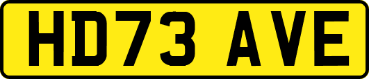 HD73AVE